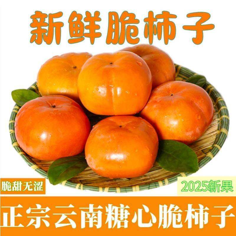 正宗次郎巧克力脆柿子新鲜水果当季硬甜脆柿子富有吉柿特大整箱装