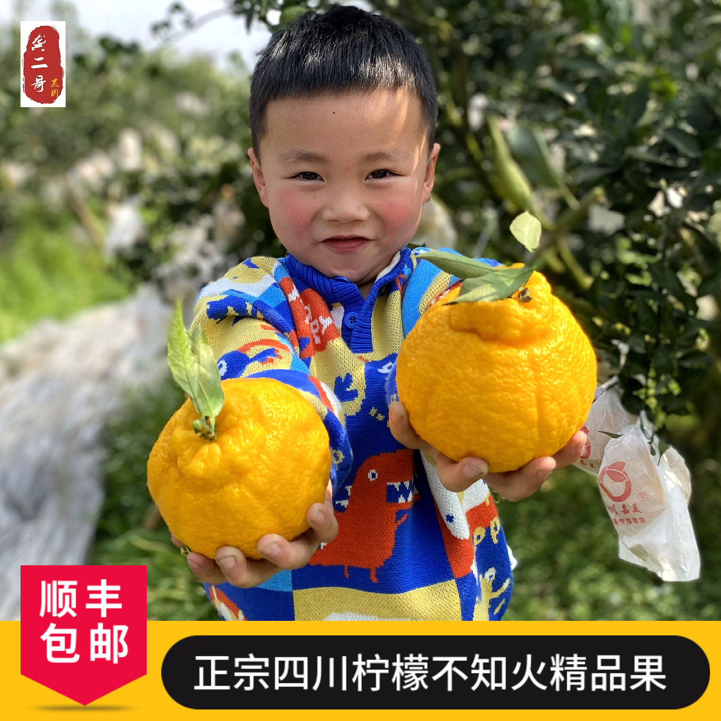 自然熟四川柠檬不知火丑