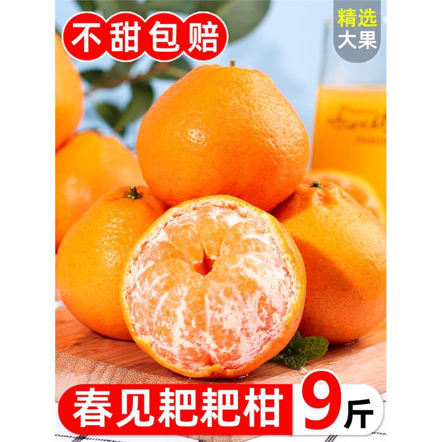 正宗四川春见耙耙柑橘子大果新鲜10当季斤水果整箱丑八怪粑粑柑桔,包装,水果包装,淘宝优惠券,粉丝福利购,淘宝优惠卷