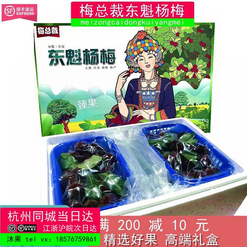 梅总裁东魁杨梅大果5斤礼