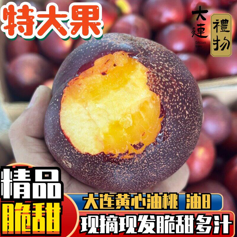 大连黄心麻脸油桃新鲜应季水果桃子脆甜特大红桃油4现摘5斤顺丰