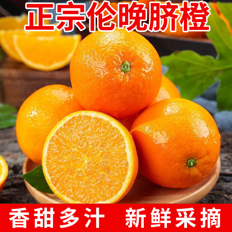 正宗伦晚脐橙新鲜橙子当