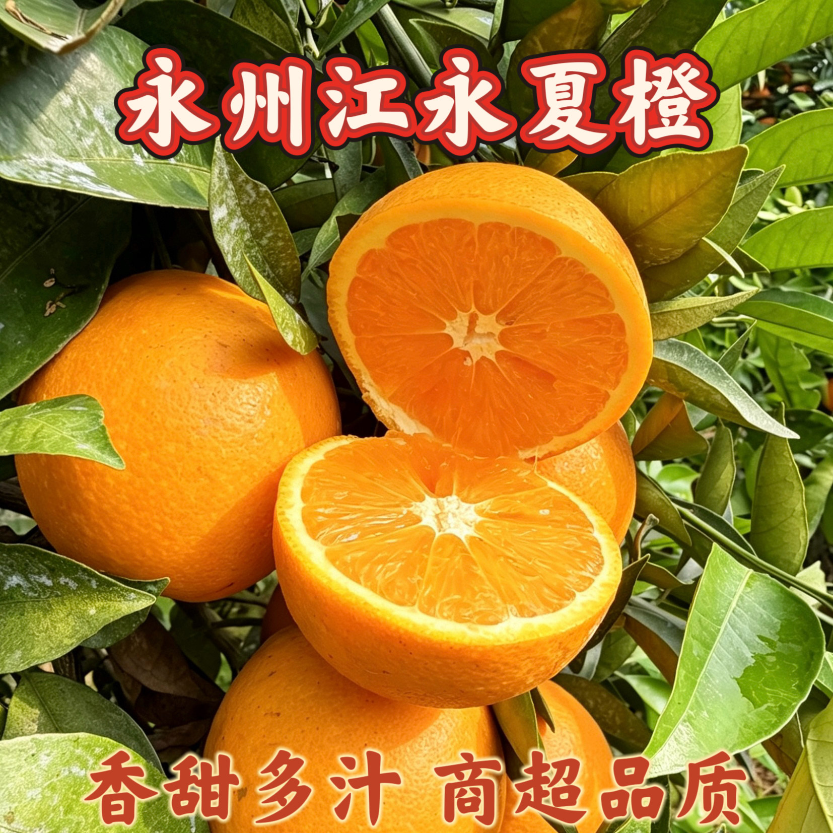 永州水果江永夏橙现摘现