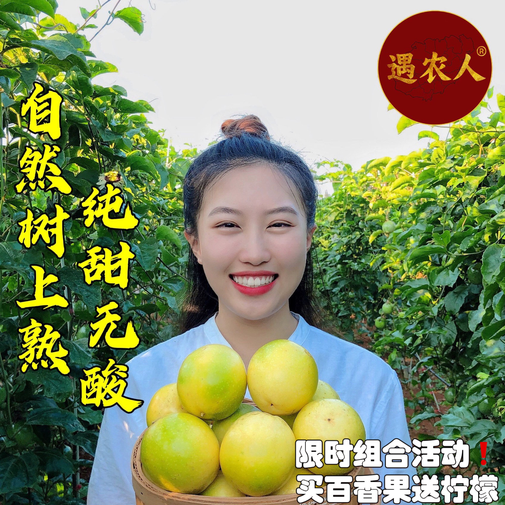 海南黄金百香果大果直