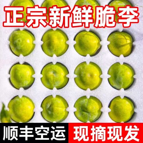 正宗新鲜脆李脱骨大李子