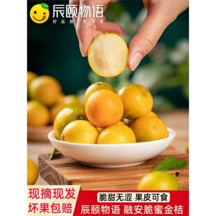 辰颐物语广西融安脆皮蜜金桔丑金钱桔子现摘应季新鲜水果金桔子