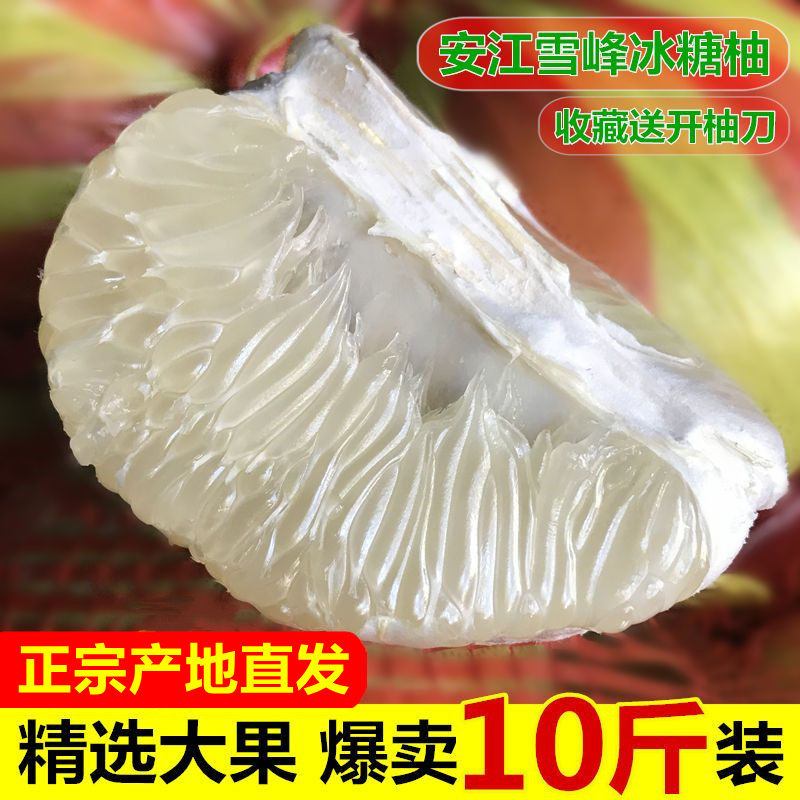 湖南怀化安江雪峰山冰糖柚白肉密柚子新鲜药柚小苦柚带箱大果