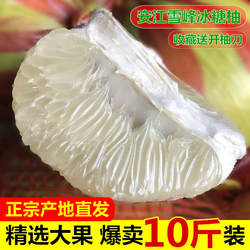湖南怀化安江雪峰山冰糖柚白肉密柚子新鲜药柚小苦柚带箱大果