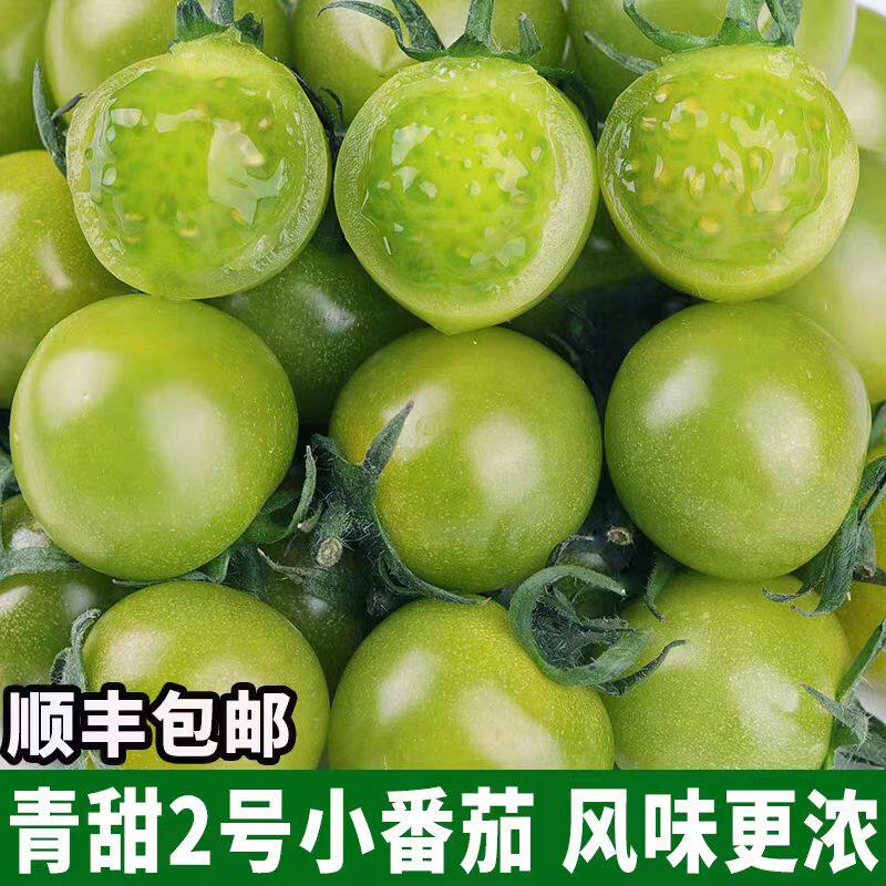 山东潍坊青甜2号小番茄圣