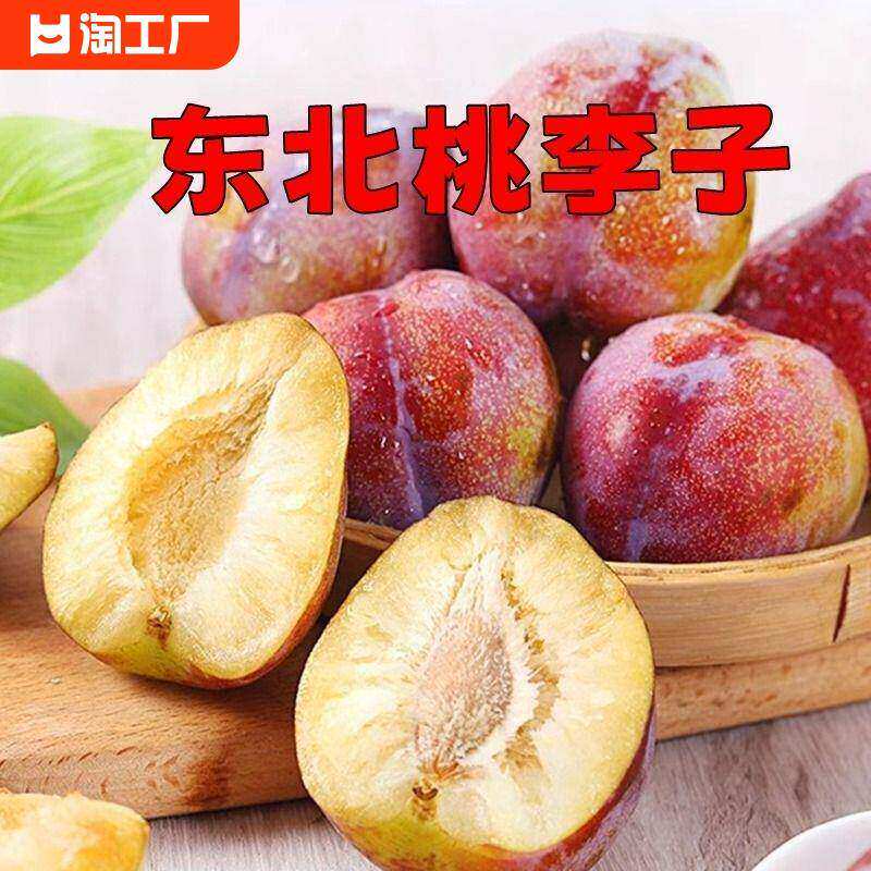 东北李子新鲜甜脆脱骨干