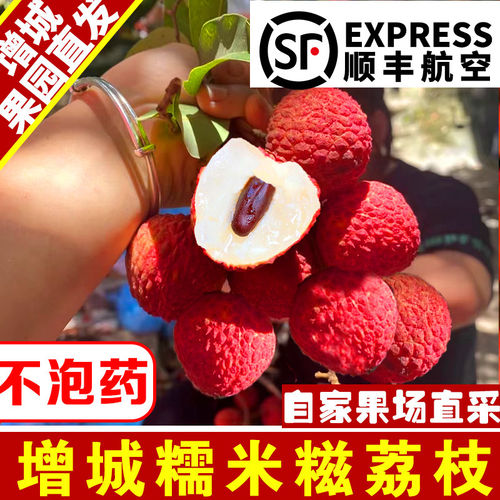 【正宗荔枝糯米糍】增城