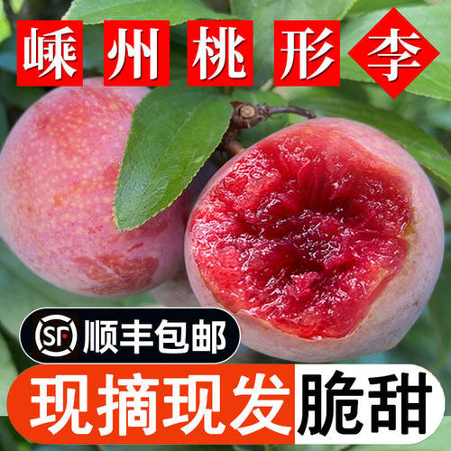 正宗嵊州桃形李现摘红心