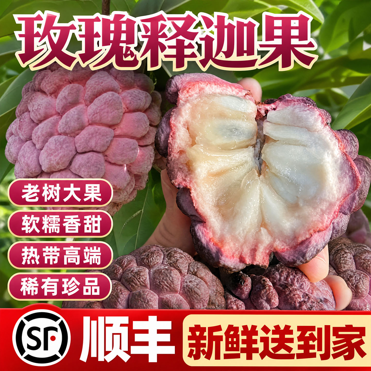 【顺丰包邮】红玫瑰释迦