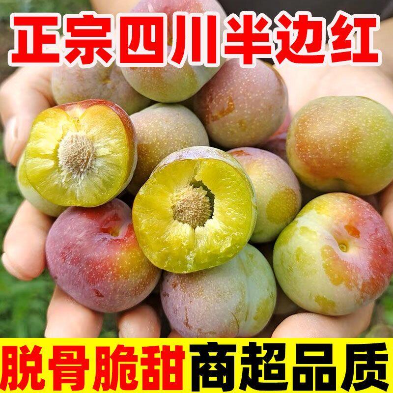 四川半边红脱骨李子脆应