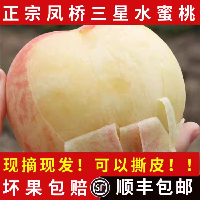 嘉兴凤桥三星水蜜桃新鲜