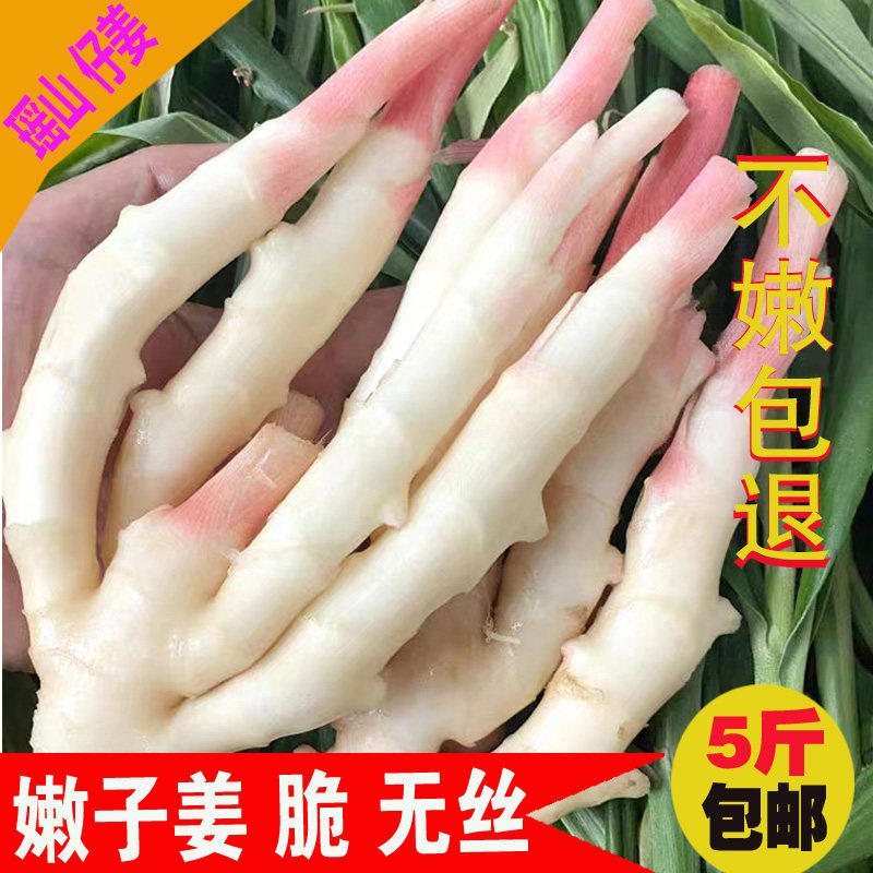 仔姜新鲜嫩姜5斤包邮生姜湖南江永香姜食用子姜醋泡炒菜现挖现发