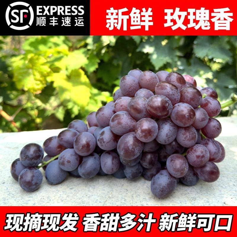 玫瑰香葡萄新鲜水果提子