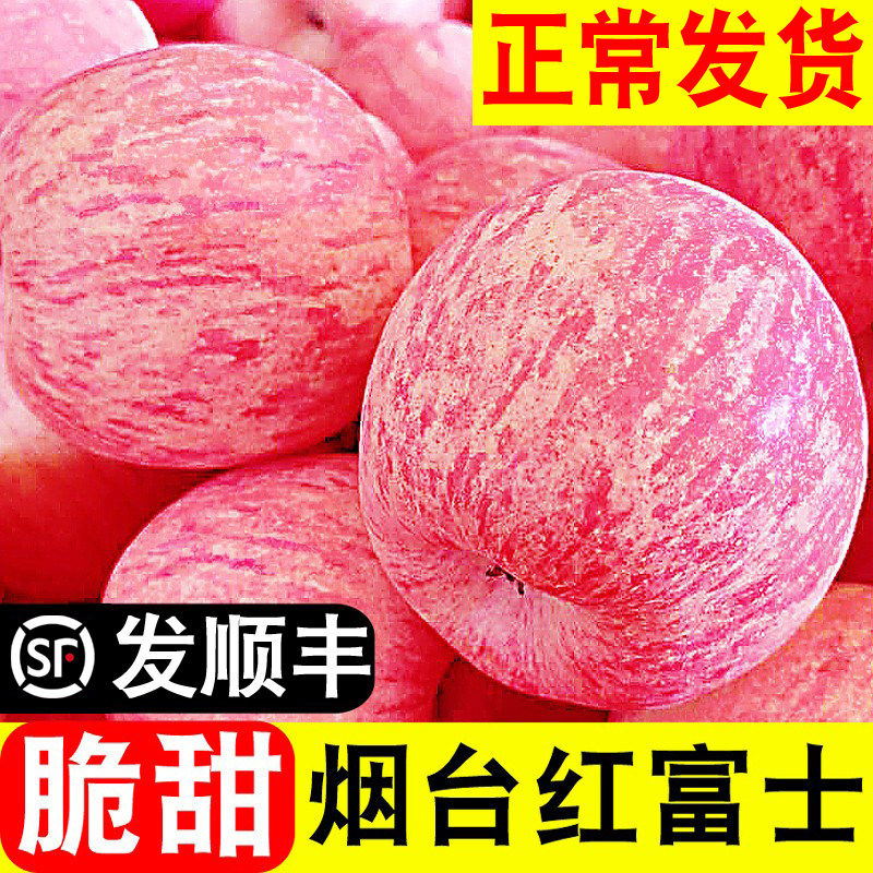 烟台红富士苹果山东栖霞