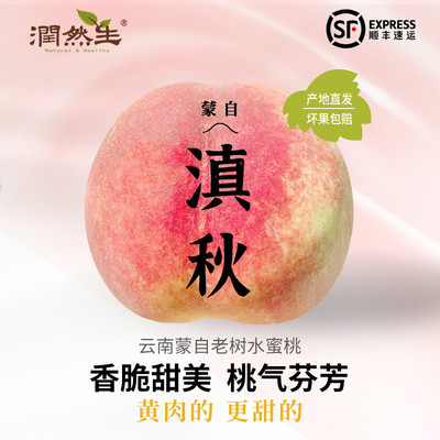 润然生云南高原老树滇秋红蜜脆甜比山东金秋红蜜水蜜桃子好吃水果