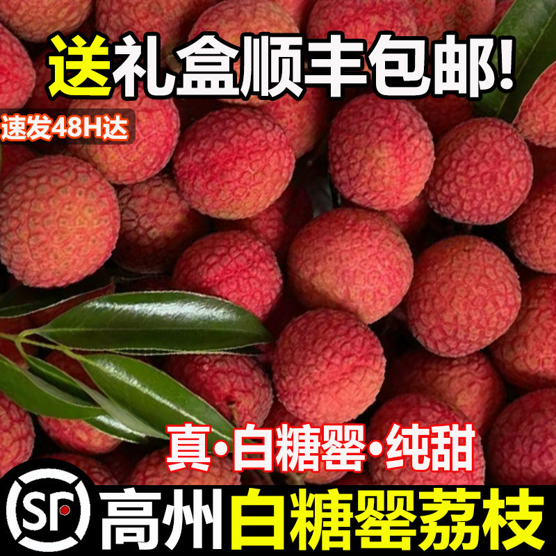 广东高州白糖罂荔枝新鲜