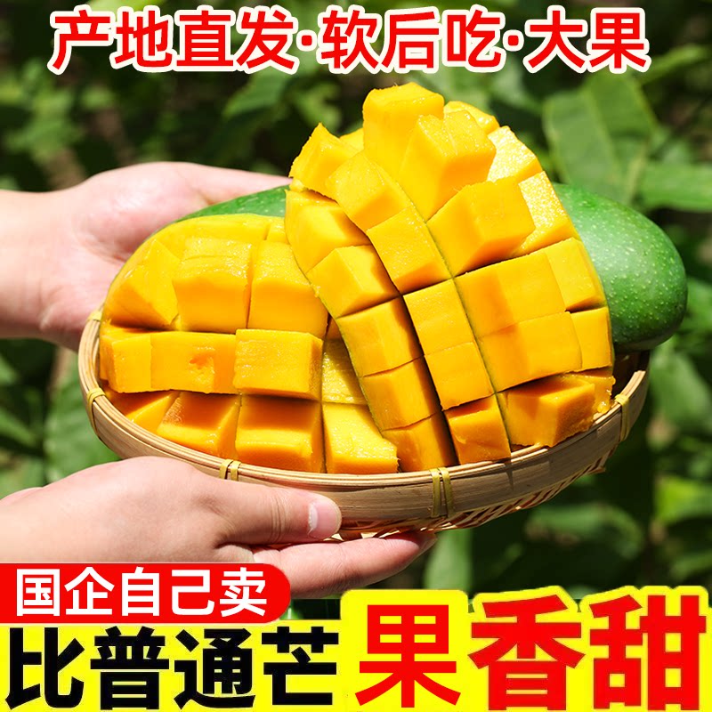 青皮大青芒果新鲜水果当