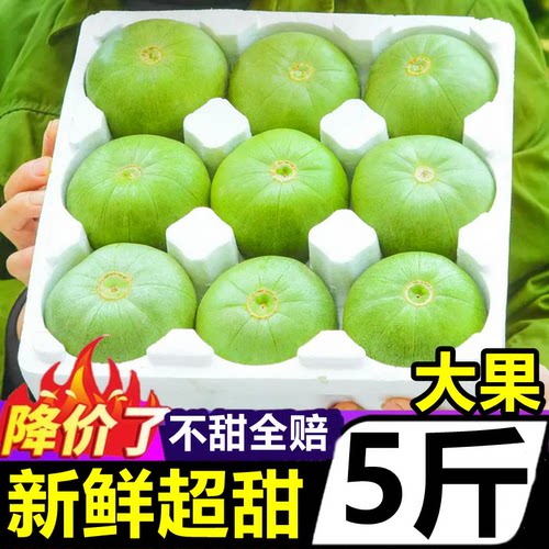 山东绿宝甜瓜5斤蜜瓜新鲜