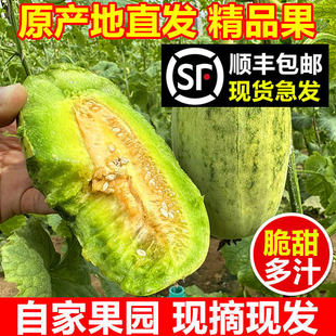 山东金冠羊角蜜脆甜甜瓜礼盒新鲜水果博洋甜蜜香瓜当季整箱羊角脆