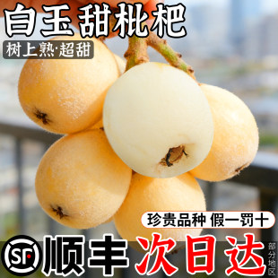 顺丰现货正宗白玉枇杷鲜果高端水果新鲜现摘5斤礼盒装整箱包邮