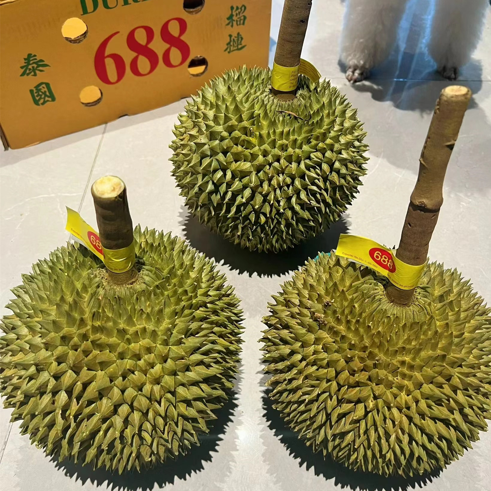 正宗泰国长柄猫山王榴莲