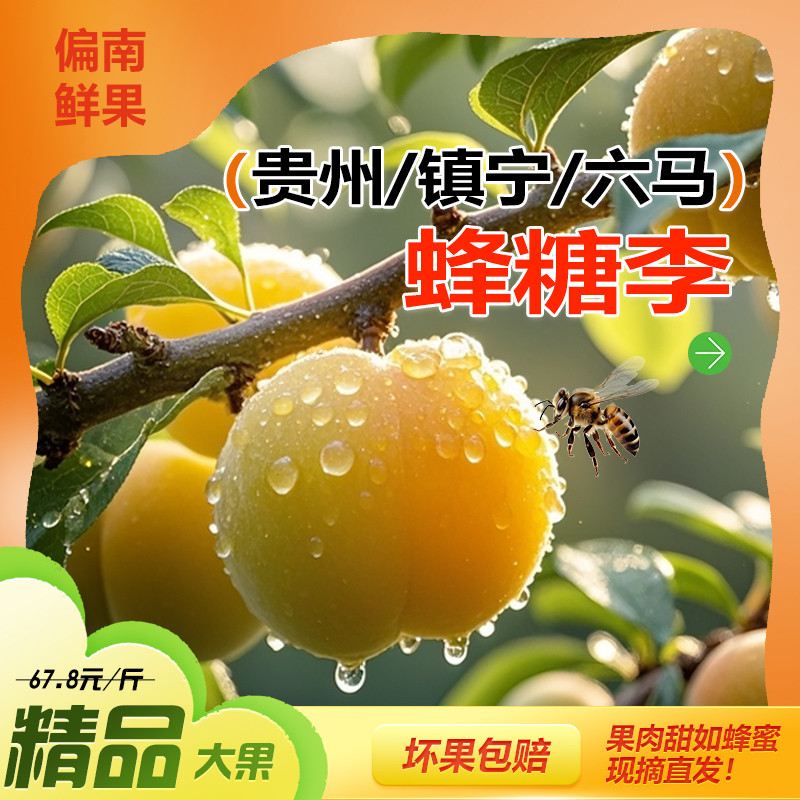 正宗贵州镇宁蜂糖李新鲜水果当季现摘现发李子甜嫩脆甜多汁特大果