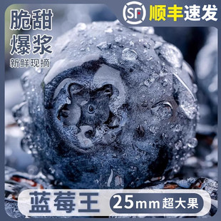 高山花香蓝莓现摘空运云南孕妇高端整箱当季新鲜水果怡颗蓝莓大果