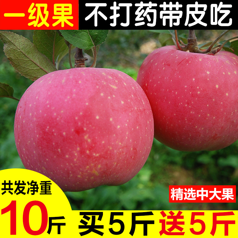 晋味来壶口苹果水果新鲜当季整箱10斤装应季山西吉县一级红富士丑