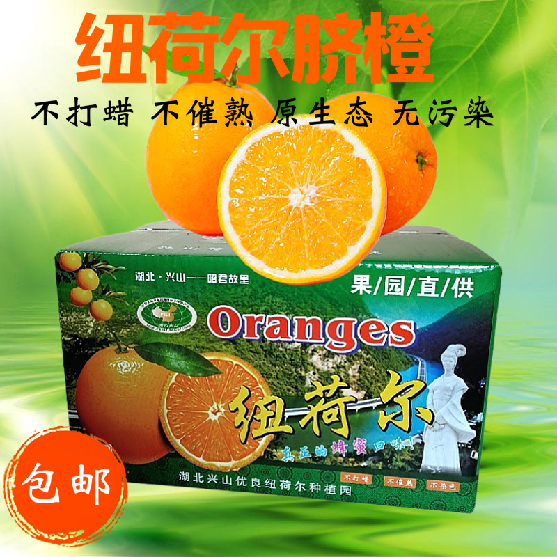 【坏果包赔】10斤/箱纽荷尔脐橙包邮现摘昭君新鲜水果健康农产品