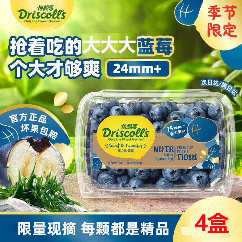 怡颗莓云南花香蓝莓L25甜口大果新鲜水果当季限量儿童孕妇可食用,包装,水果包装,淘宝优惠券,粉丝福利购,淘宝优惠卷