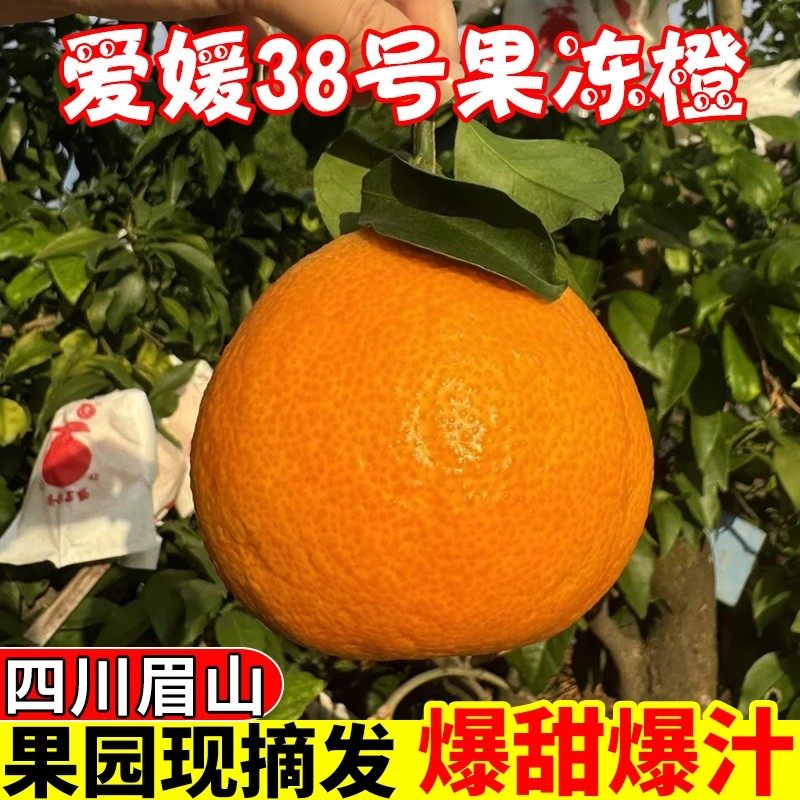正宗四川眉山爱媛38号果冻橙水果新鲜应当季橙子柑橘子蜜桔子无籽,包装,水果包装,淘宝优惠券,粉丝福利购,淘宝优惠卷