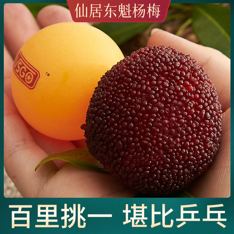 96颗礼盒装【贡品级】正