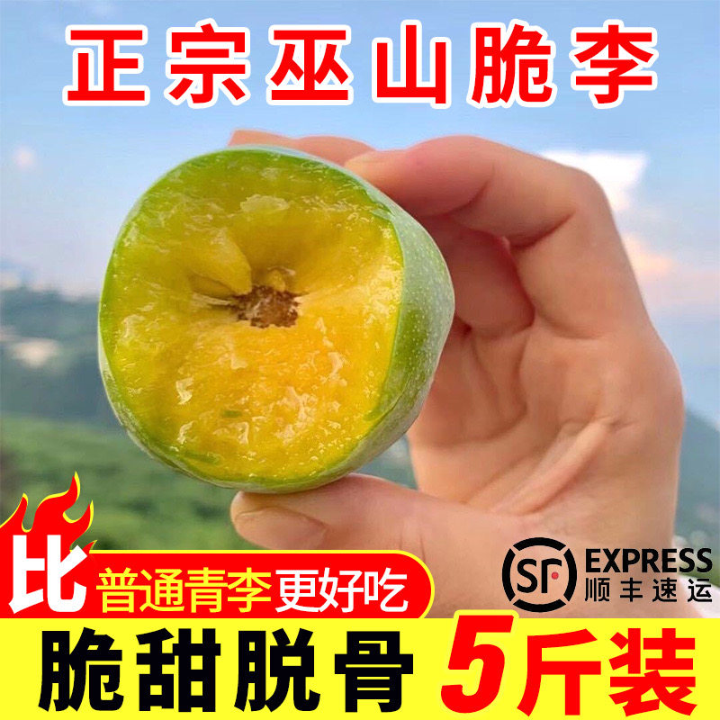 巫山脆李脱骨李重庆青土