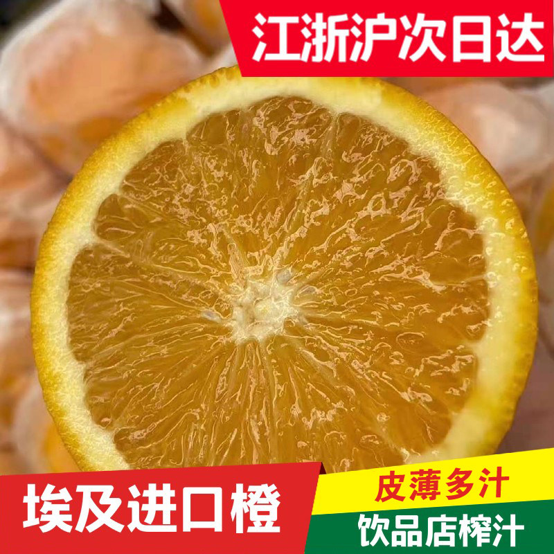 埃及进口30斤整箱橙子新