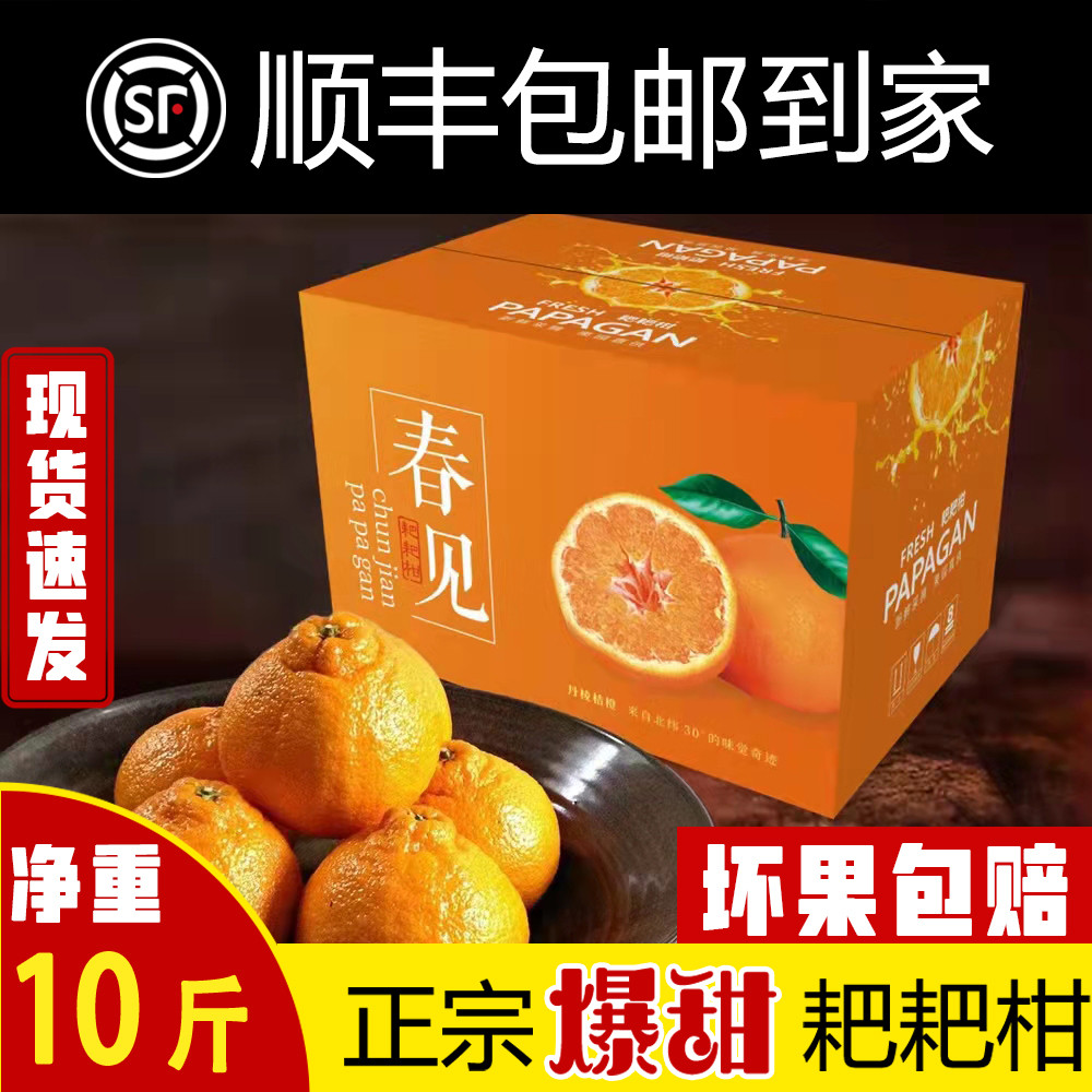 正宗四川春见耙耙柑粑粑柑新鲜水果手剥橘子桔子净重10斤顺丰现摘