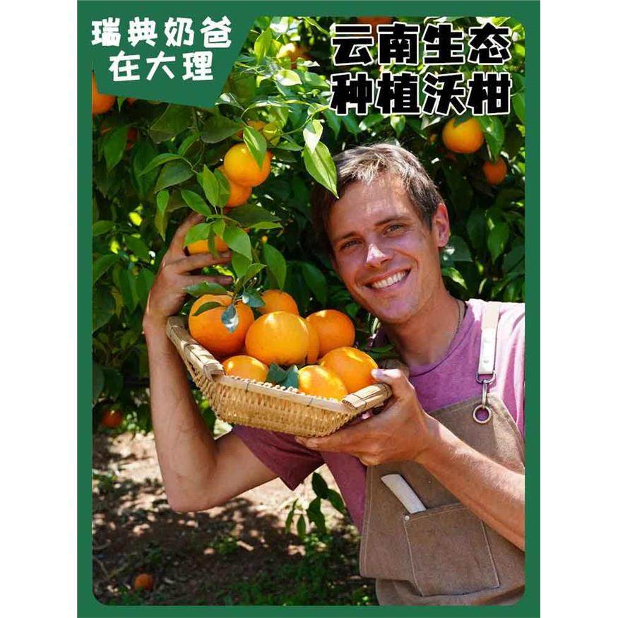 云南生态沃柑酸甜多汁当季孕妇水果新鲜榨汁山地果桔子甜橘子现发,包装,水果包装,淘宝优惠券,粉丝福利购,淘宝优惠卷