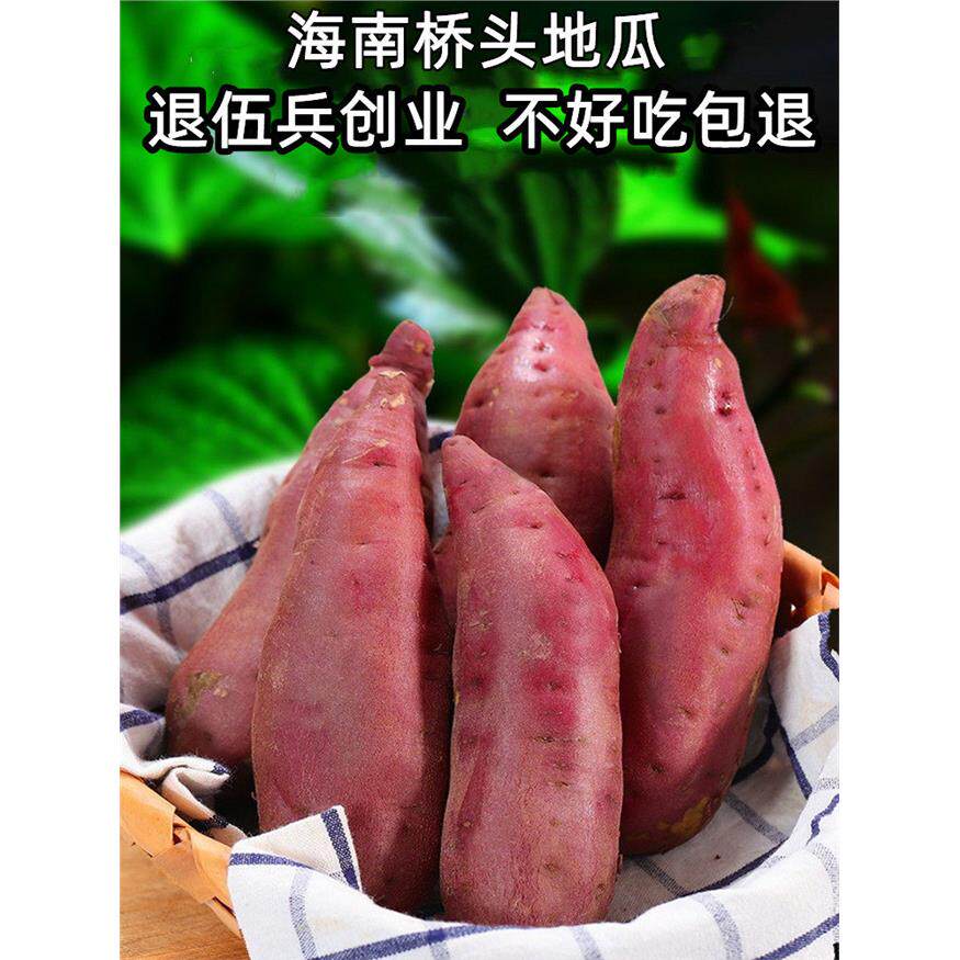 1现挖海南澄迈桥头地瓜富硒沙地新鲜红薯农家桥沙板栗番薯小香薯
