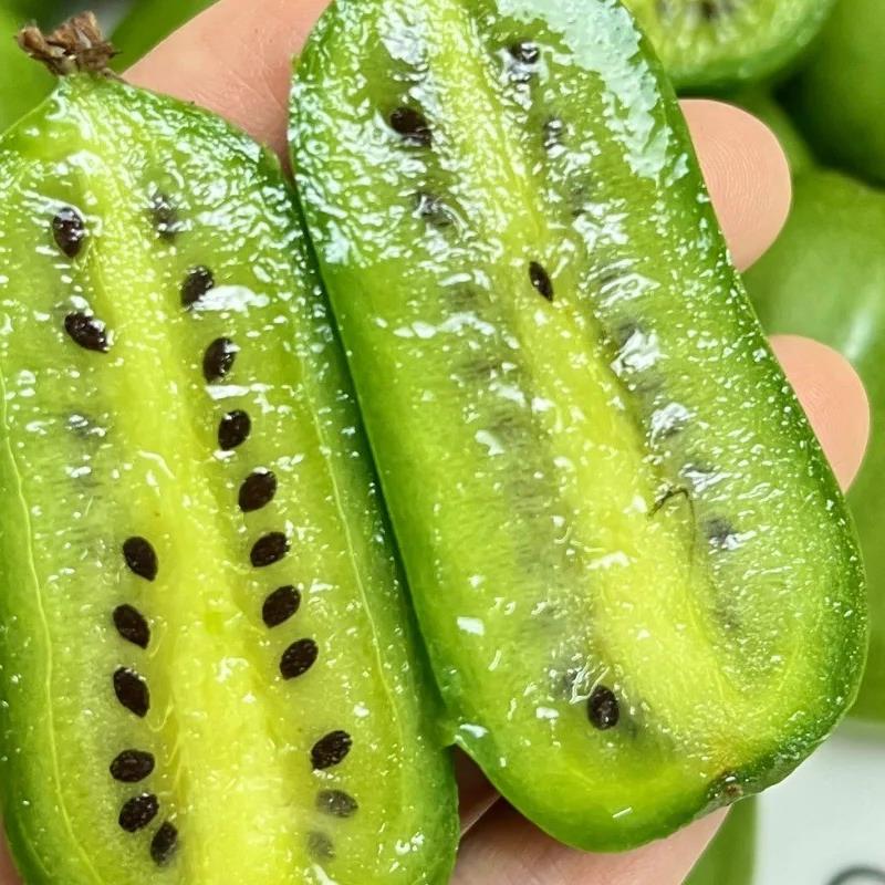 丹东顺丰软枣猕猴桃新鲜水果应季水果当季整箱礼盒奇异莓狗圆枣子