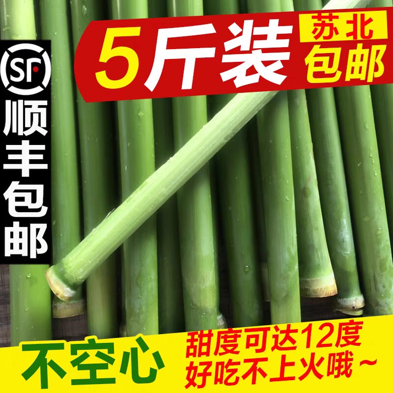 甜杆小甘蔗新鲜甜芦粟芦