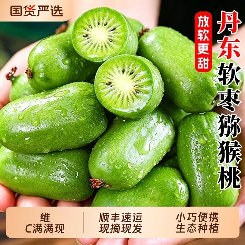 丹东新鲜软枣猕猴桃迷你东北特产圆枣子奇异莓果莓小猕猴桃顺丰