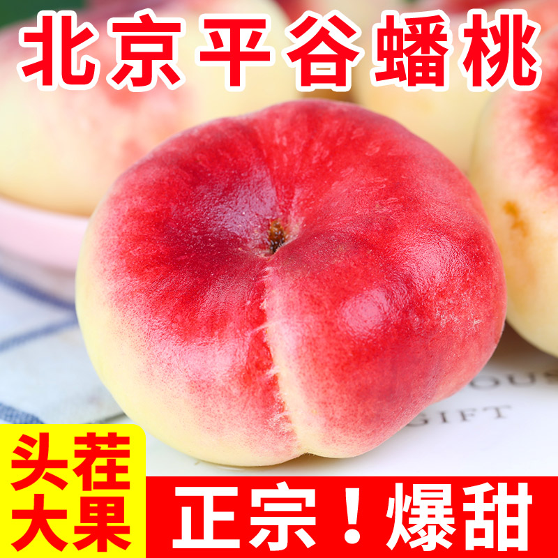 北京平谷蟠桃新鲜水蜜子