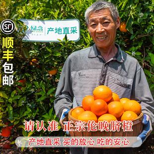 正宗伦晚脐橙10新鲜橙子水果当季整箱斤江西赣州产地直采夏橙官方