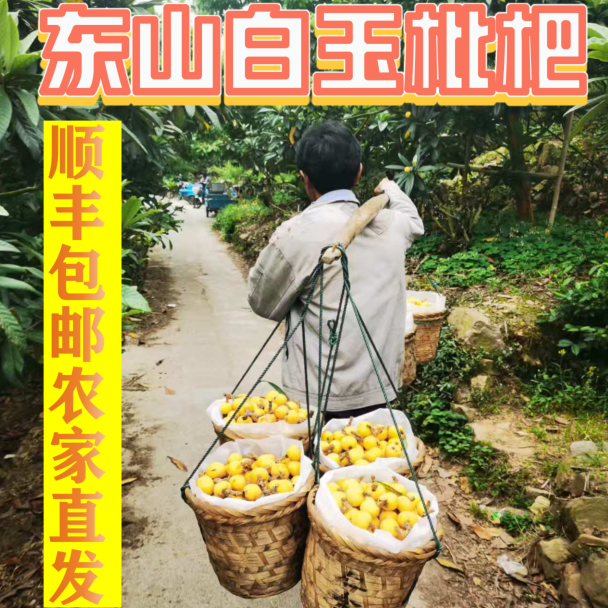 2026五月中旬苏州【东山