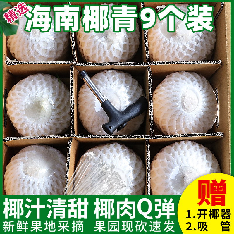 海南椰青新鲜椰子9个装当