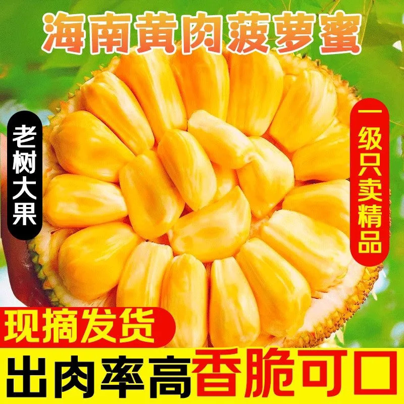 正宗海南菠萝蜜一整个新鲜水果包邮当季三亚干苞黄肉波罗密整箱