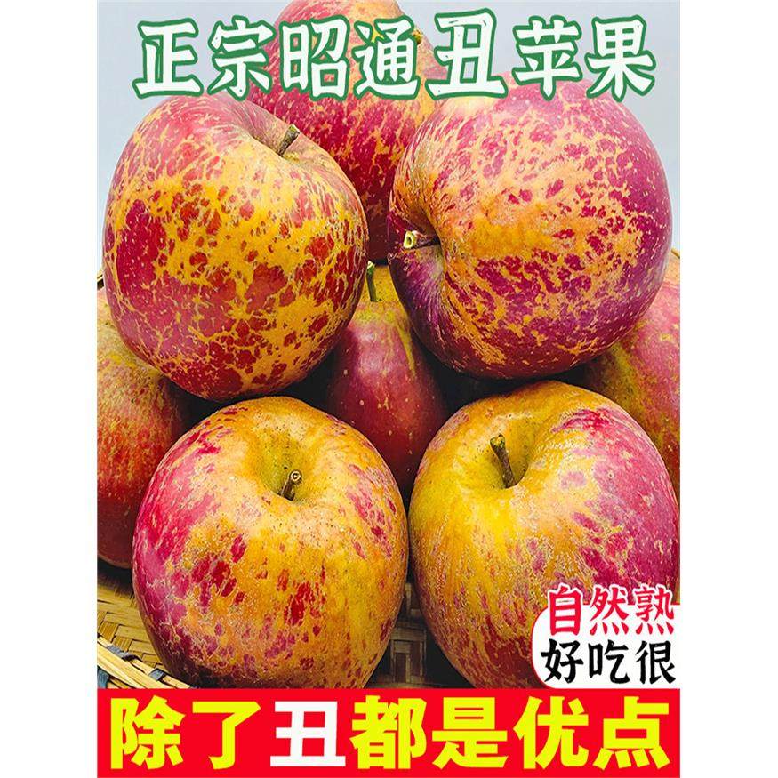 25年正宗云南昭通丑苹果冰糖心红露脆甜水果新鲜整箱当季非大凉山,包装,水果包装,淘宝优惠券,粉丝福利购,淘宝优惠卷